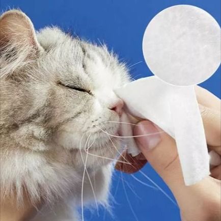 پالتو جانوروں کو صاف کرنے والا کپڑا pet پالتو جانوروں کی حفظان صحت کی دیکھ بھال کے لئے گیجٹ